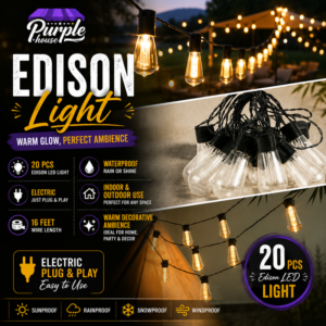 Edison LED Light